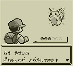 昔のポケモン